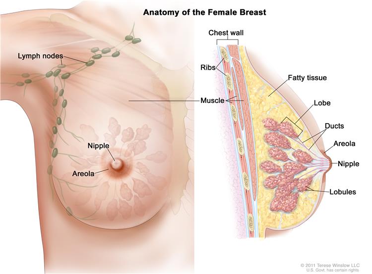 types of breast cancer