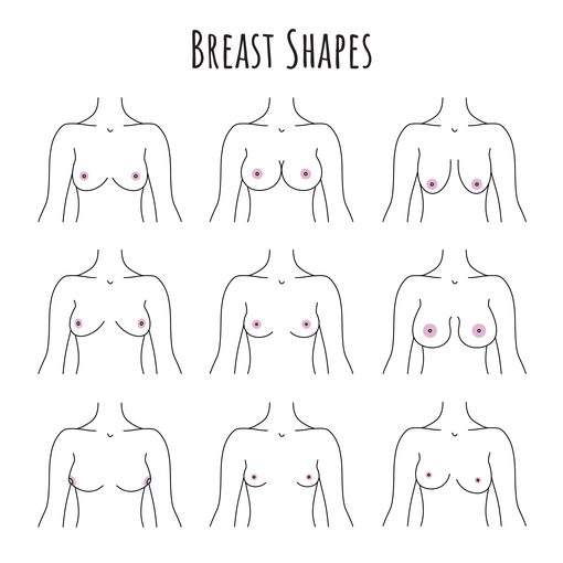 different types of breast shapes 